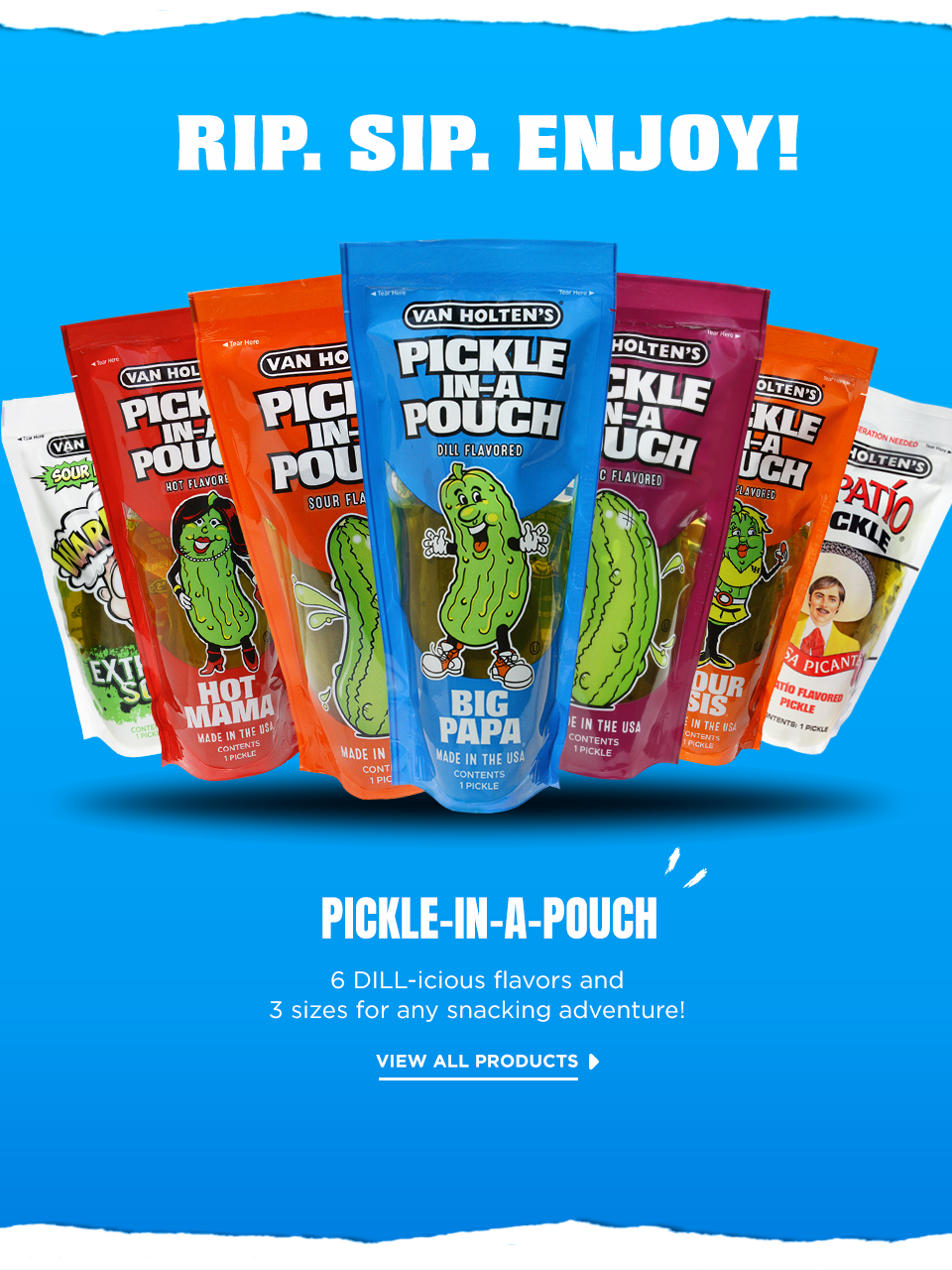 Pickle in a bag 306g